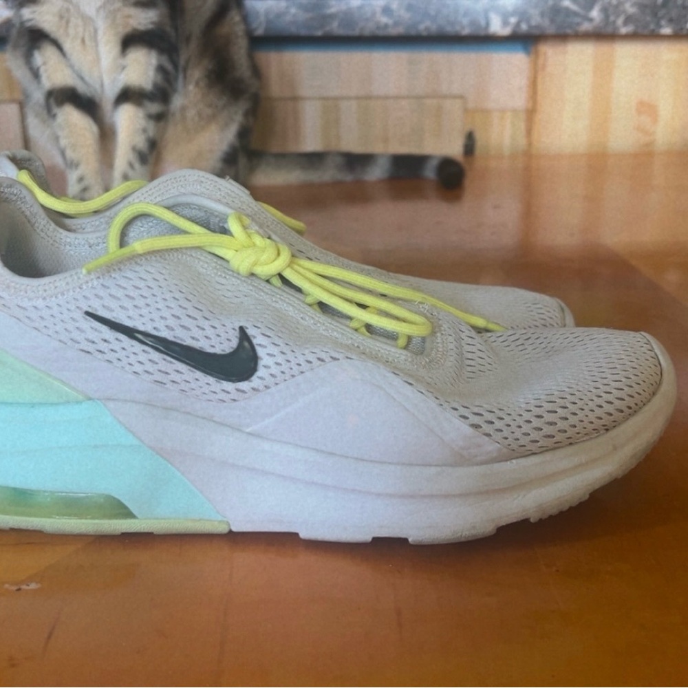 Nike Air White and Green